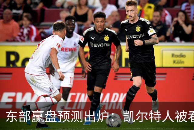 东部赢盘预测出炉：凯尔特人被看好，公牛30胜都悬