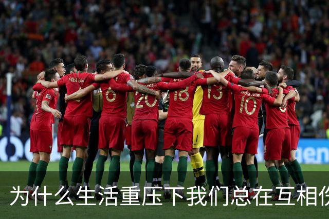 为什么生活重压下我们总在互相伤害？