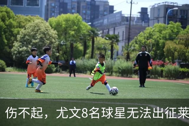 伤不起，尤文8名球星无法出征莱切，莱切三大主力缺阵