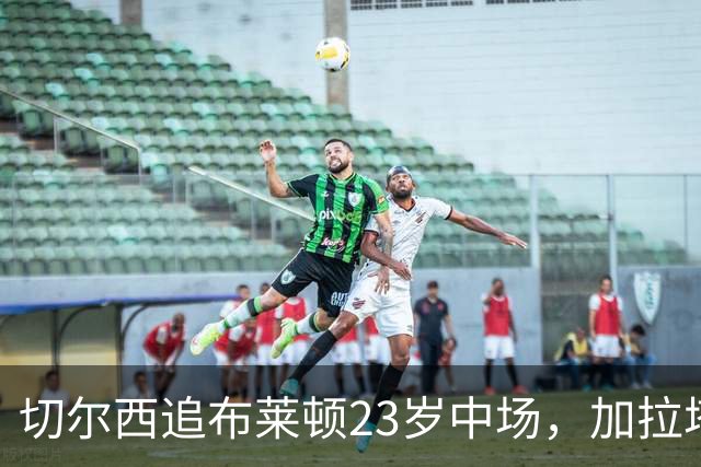 切尔西追布莱顿23岁中场，加拉塔萨雷也在抢