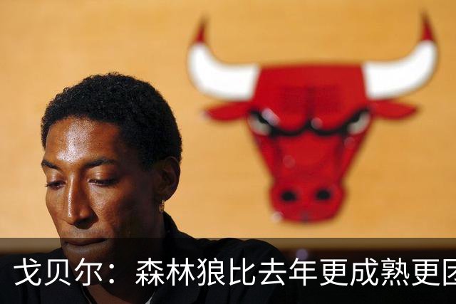戈贝尔：森林狼比去年更成熟更团结 希望到五六月能应对任何挑战