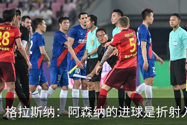 格拉斯纳：阿森纳的进球是折射入网的，否则塞尔斯会将球没收