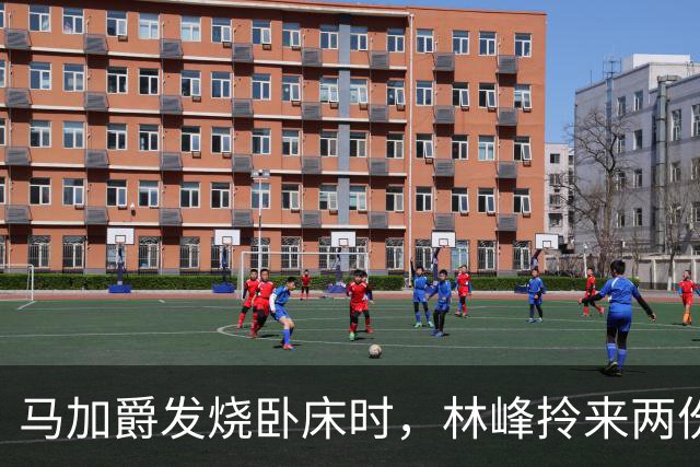 马加爵发烧卧床时，林峰拎来两份盒饭陪他一起吃；那个寒假他连杀四人，锤子已握在手中，却对站在门口的林峰没下手，供述里只提到了那顿饭
