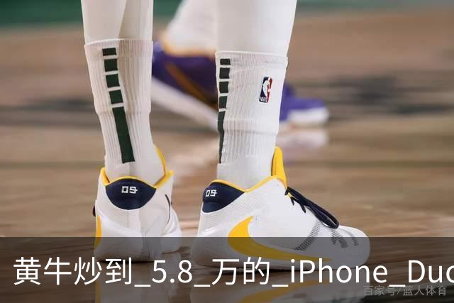 黄牛炒到 5.8 万的 iPhone Duo，为什么一夜之间就崩了？