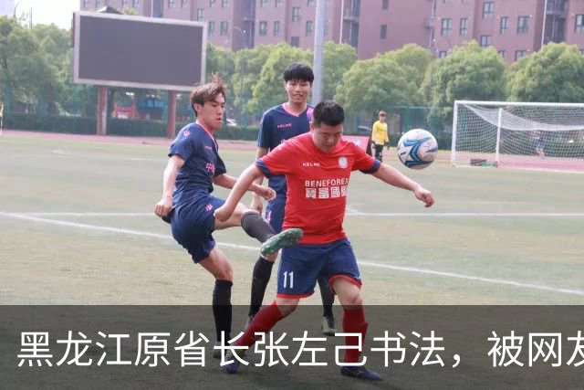 黑龙江原省长张左己书法，被网友们夸上了天，懂行的人却说：不止这水平
